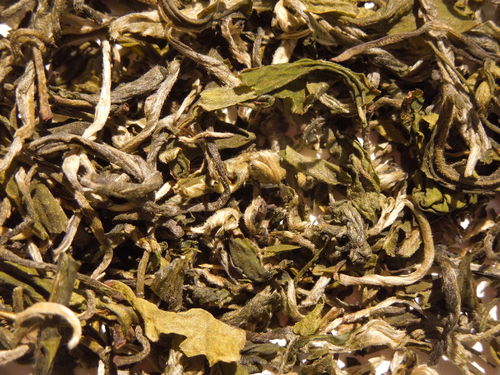 China Yunnan Spezial White Leaf Tea, weißer Tee