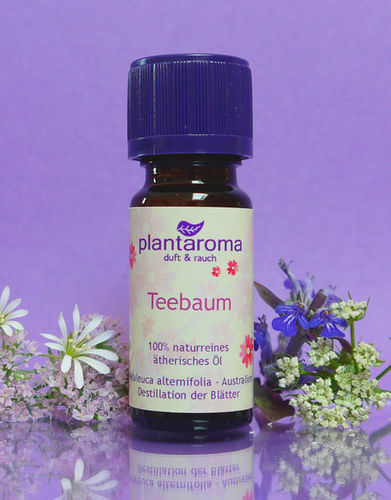 Teebaum (äth. Öl), 10ml